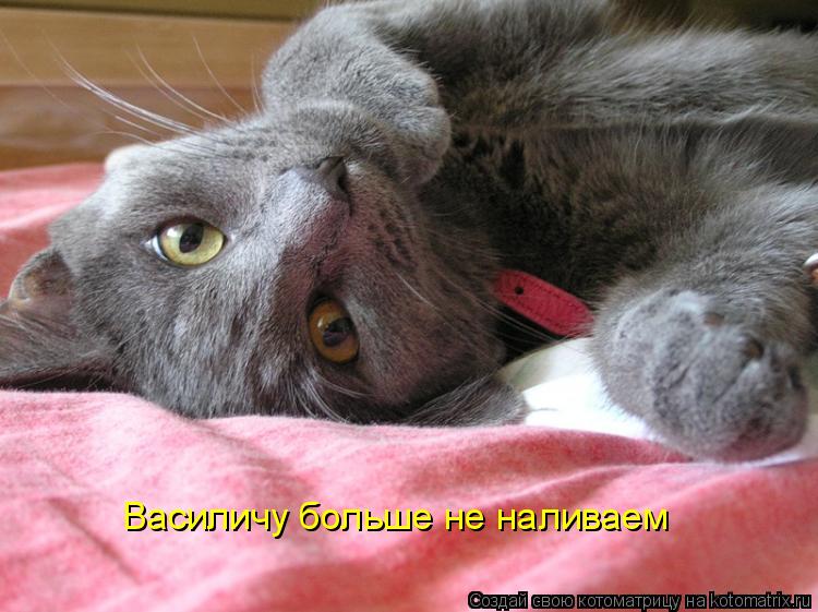 Василичу больше не наливаем... Котоматрица: Василичу больше не наливаем