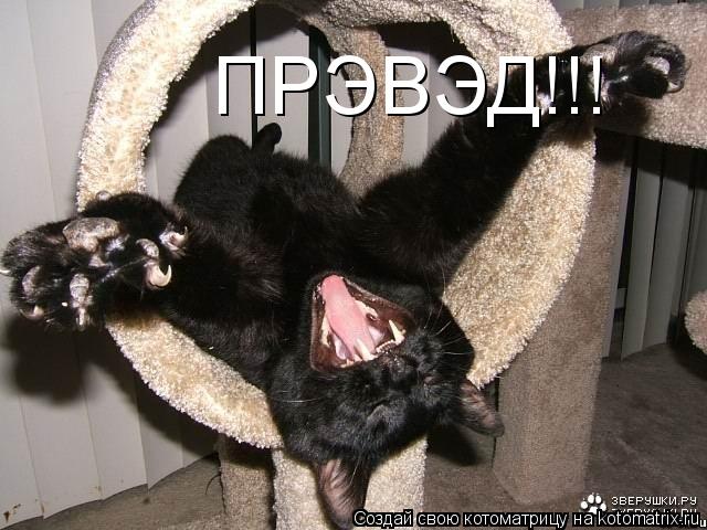 ПРЭВЭД!!!... Котоматрица: ПРЭВЭД!!!