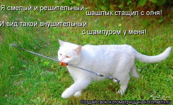Я смелый и решительный - шашлык стащил с огня! И вид такой внушительный с шампуром у меня!... Котоматрица: Я смелый и решительный - шашлык стащил с огня! И вид такой внушительный с шампуром у меня!