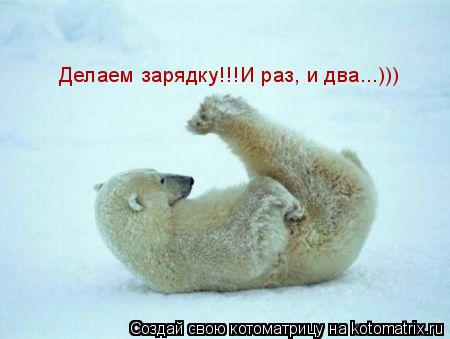 Делаем зарядку!!!И раз, и два...)))... Котоматрица: Делаем зарядку!!!И раз, и два...)))