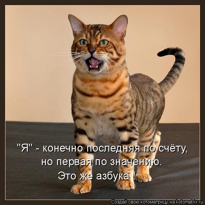 "Я" - конечно последняя по счёту, но первая по значению. Это же азбука !... Котоматрица: "Я" - конечно последняя по счёту, но первая по значению. Это же азбука !