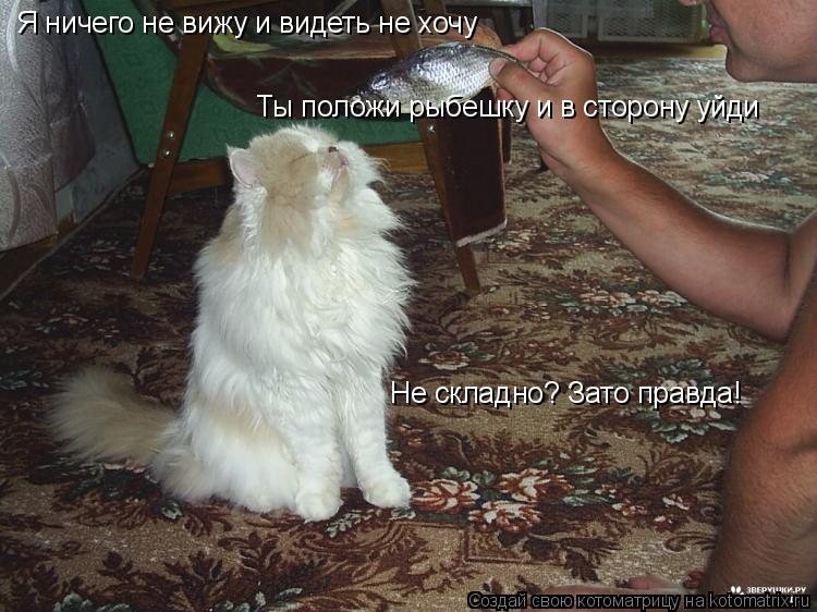 Я ничего не вижу и видеть не хочу Ты положи рыбешку и в сторону уйди Не складно? Зато правда!... Котоматрица: Я ничего не вижу и видеть не хочу Ты положи рыбешку и в сторону уйди Не складно? Зато правда!