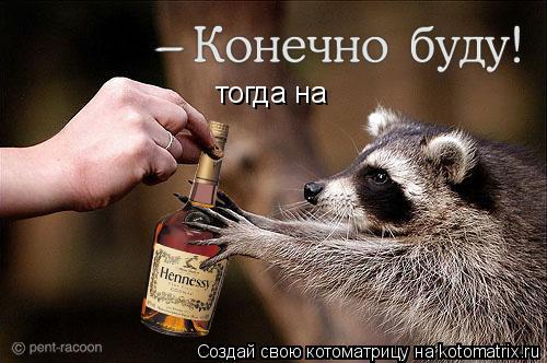 тогда на... Котоматрица: тогда на