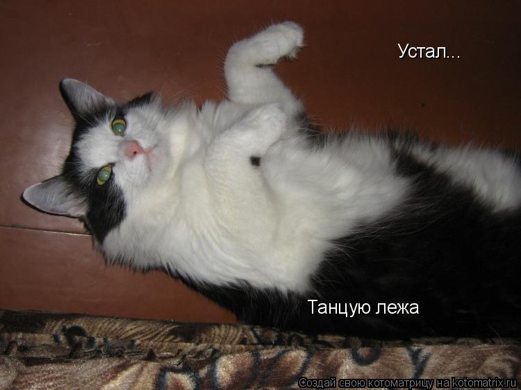 Устал... Танцую лежа... Котоматрица: Устал... Танцую лежа