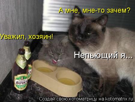 Уважил, хозяин! А мне, мне-то зачем? Непьющий я...... Котоматрица: Уважил, хозяин! А мне, мне-то зачем? Непьющий я...