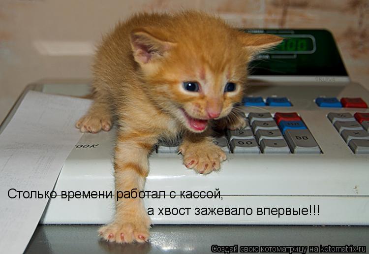 Столько времени работал с кассой, а хвост зажевало впервые!!!... Котоматрица: Столько времени работал с кассой, а хвост зажевало впервые!!!