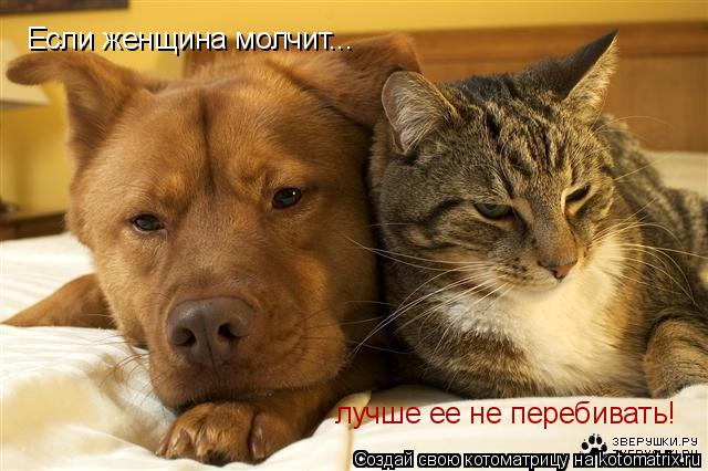 Если женщина молчит... лучше ее не перебивать!... Котоматрица: Если женщина молчит... лучше ее не перебивать!