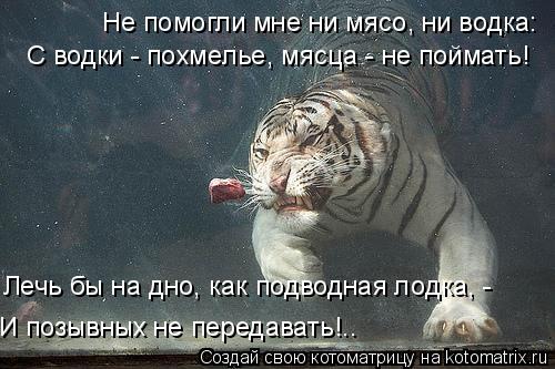 Не помогли мне ни мясо, ни водка: С водки - похмелье, мясца - не поймать! Лечь бы на дно, как подводн... Котоматрица: Не помогли мне ни мясо, ни водка: С водки - похмелье, мясца - не поймать! Лечь бы на дно, как подводная лодка, - И позывных не передавать!..
