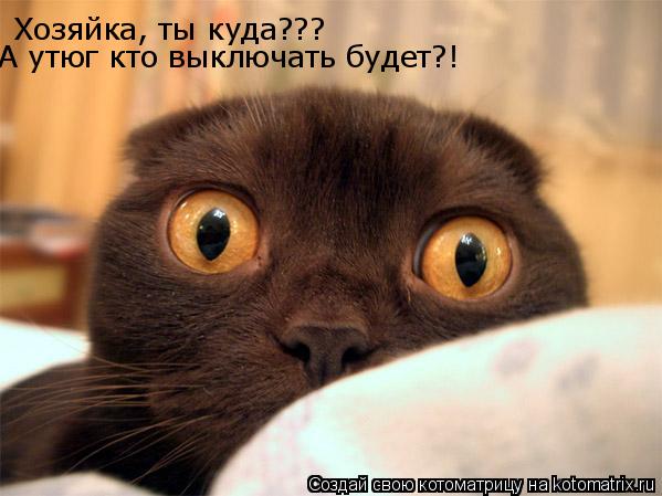Хозяйка, ты куда??? А утюг кто выключать будет?!... Котоматрица: Хозяйка, ты куда??? А утюг кто выключать будет?!