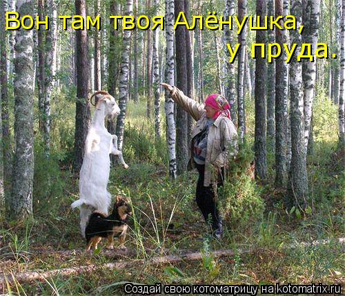 Вон там твоя Алёнушка, у пруда.... Котоматрица: Вон там твоя Алёнушка, у пруда.