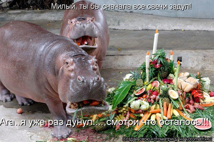 Милый, ты бы сначала все свечи задул! Ага..я уже раз дунул....,смотри что осталось!!!... Котоматрица: Милый, ты бы сначала все свечи задул! Ага..я уже раз дунул....,смотри что осталось!!!