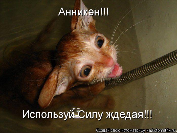 Анникен!!! Используй Силу ждедая!!!... Котоматрица: Анникен!!! Используй Силу ждедая!!!