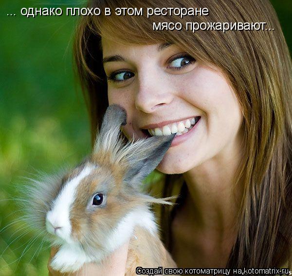 ... однако плохо в этом ресторане мясо прожаривают...... Котоматрица: ... однако плохо в этом ресторане мясо прожаривают...