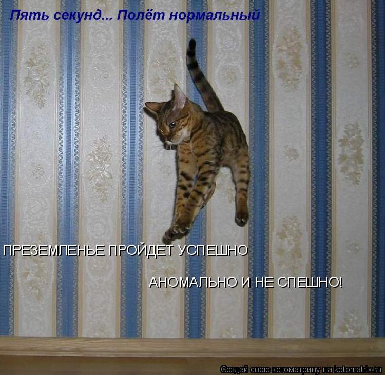 ПРЕЗЕМЛЕНЬЕ ПРОЙДЕТ УСПЕШНО АНОМАЛЬНО И НЕ СПЕШНО!... Котоматрица: ПРЕЗЕМЛЕНЬЕ ПРОЙДЕТ УСПЕШНО АНОМАЛЬНО И НЕ СПЕШНО!