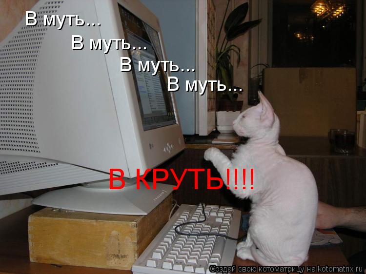 В муть... В муть... В муть... В муть... В КРУТЬ!!!!... Котоматрица: В муть... В муть... В муть... В муть... В КРУТЬ!!!!