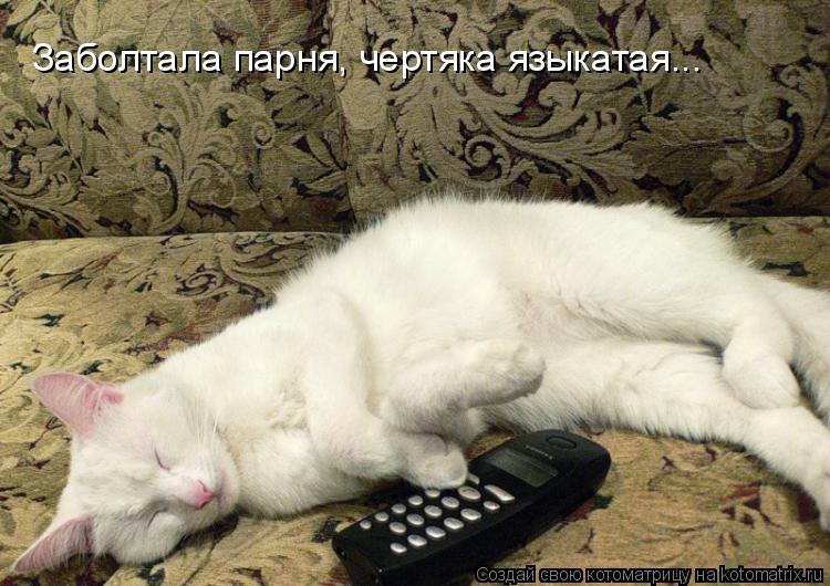 Заболтала парня, чертяка языкатая...... Котоматрица: Заболтала парня, чертяка языкатая...