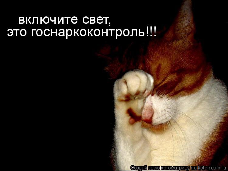 включите свет, это госнаркоконтроль!!!... Котоматрица: включите свет, это госнаркоконтроль!!!
