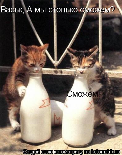 Васьк, А мы столько сможем? Сможем!... Котоматрица: Васьк, А мы столько сможем? Сможем!