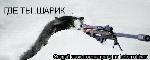 .... Котоматрица: .