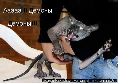 Ааааа!!! Демоны!!! Демоны!!!... Котоматрица: Ааааа!!! Демоны!!! Демоны!!!