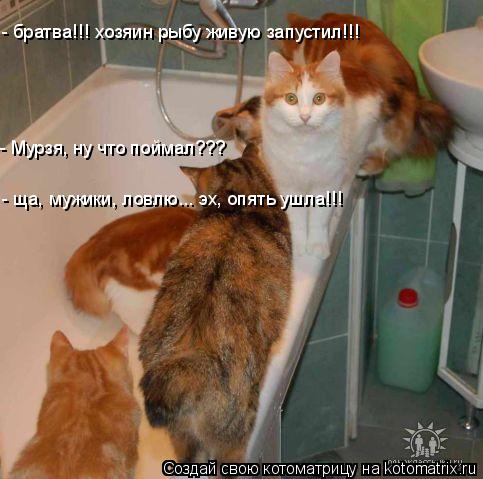 - Мурзя, ну что поймал??? - братва!!! хозяин рыбу живую запустил!!! - ща, мужики, ловлю... эх, опять ... Котоматрица: - Мурзя, ну что поймал??? - братва!!! хозяин рыбу живую запустил!!! - ща, мужики, ловлю... эх, опять ушла!!!