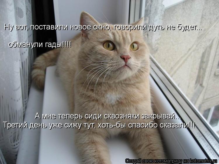 Ну вот, поставили новое окно, говорили дуть не будет... обманули гады!!!! А мне теперь сиди сквозняки... Котоматрица: Ну вот, поставили новое окно, говорили дуть не будет... обманули гады!!!! А мне теперь сиди сквозняки закрывай... Третий день уже сижу тут, хоть-