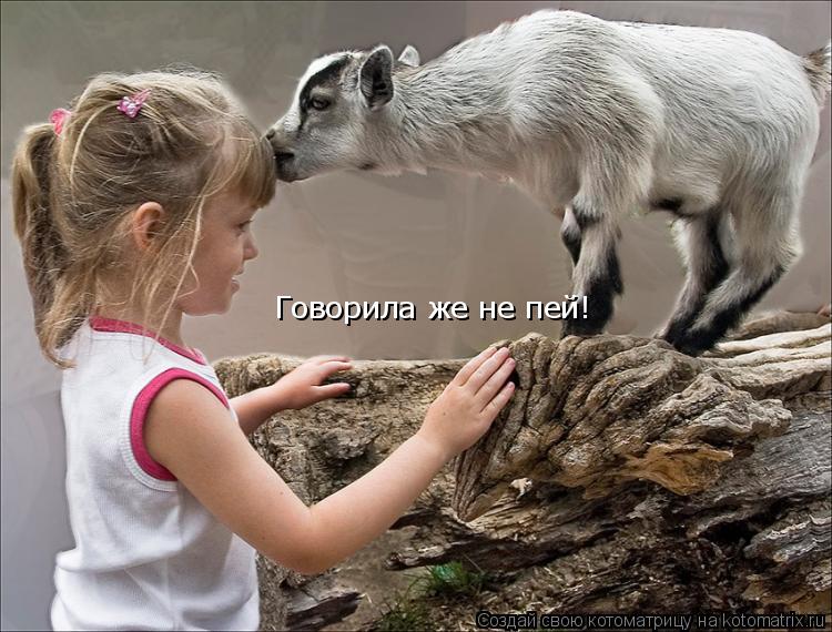 Говорила же не пей!... Котоматрица: Говорила же не пей!
