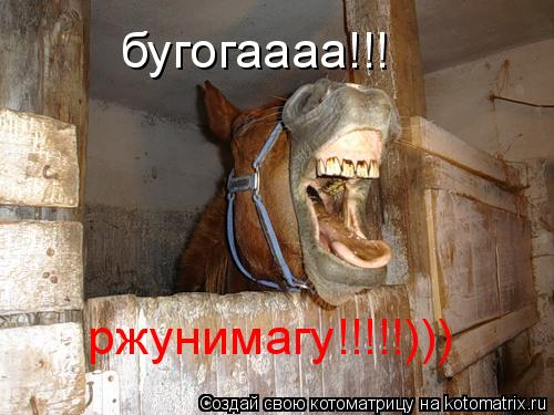 бугогаааа!!! ржунимагу!!!!!)))... Котоматрица: бугогаааа!!! ржунимагу!!!!!)))