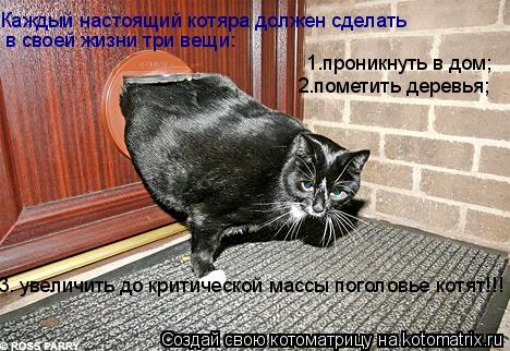 Каждый настоящий котяра должен сделать в своей жизни три вещи: 1.проникнуть в дом; 2.пометить деревь... Котоматрица: Каждый настоящий котяра должен сделать в своей жизни три вещи: 1.проникнуть в дом; 2.пометить деревья; 3. увеличить до критической массы пого