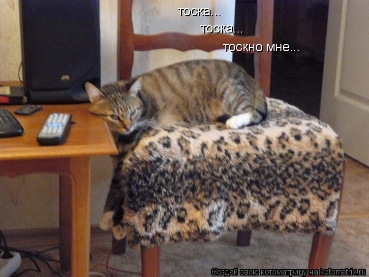 тоска... тоска... тоскно мне...... Котоматрица: тоска... тоска... тоскно мне...
