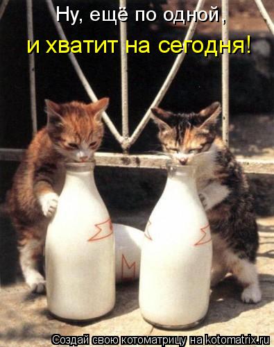 Ну, ещё по одной, и хватит на сегодня!... Котоматрица: Ну, ещё по одной, и хватит на сегодня!