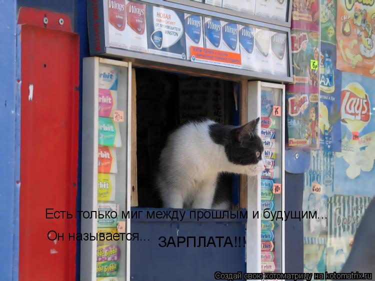 Есть только миг между прошлым и будущим... Он называется... ЗАРПЛАТА!!!... Котоматрица: Есть только миг между прошлым и будущим... Он называется... ЗАРПЛАТА!!!