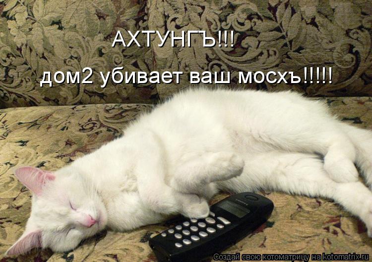 дом2 убивает ваш мосхъ!!!!! АХТУНГЪ!!!... Котоматрица: дом2 убивает ваш мосхъ!!!!! АХТУНГЪ!!!