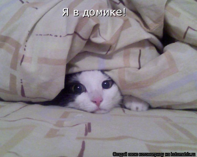 Я в домике!... Котоматрица: Я в домике!