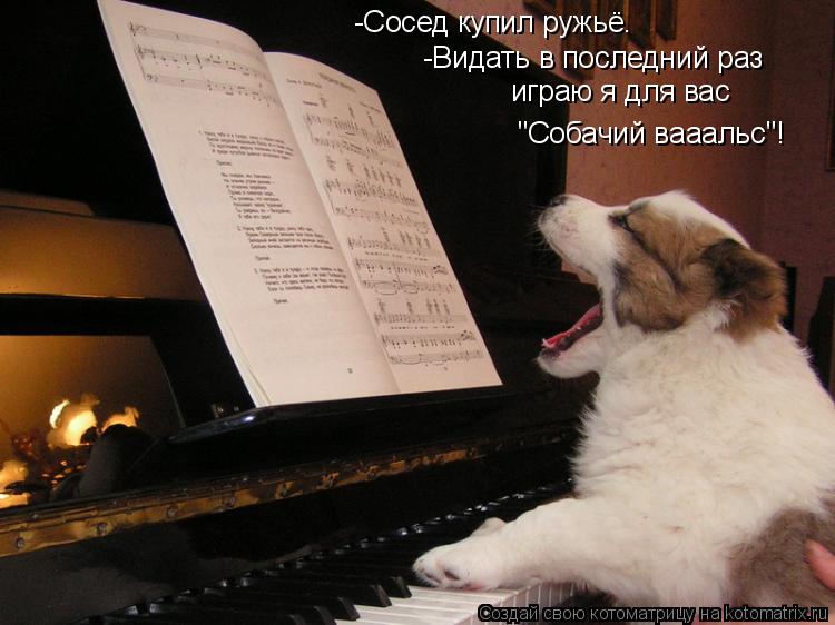 -Сосед купил ружьё. -Видать в последний раз играю я для вас "Собачий вааальс"!... Котоматрица: -Сосед купил ружьё. -Видать в последний раз играю я для вас "Собачий вааальс"!