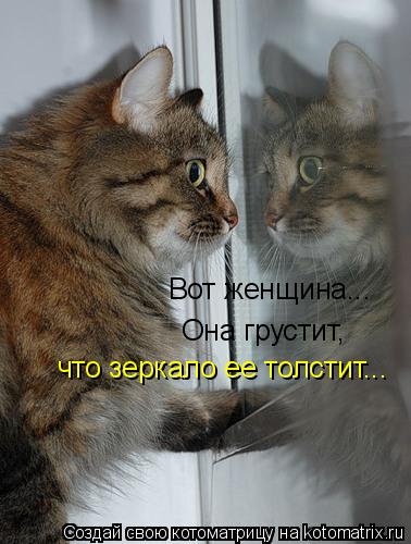 Вот женщина... Она грустит, что зеркало ее толстит...... Котоматрица: Вот женщина... Она грустит, что зеркало ее толстит...