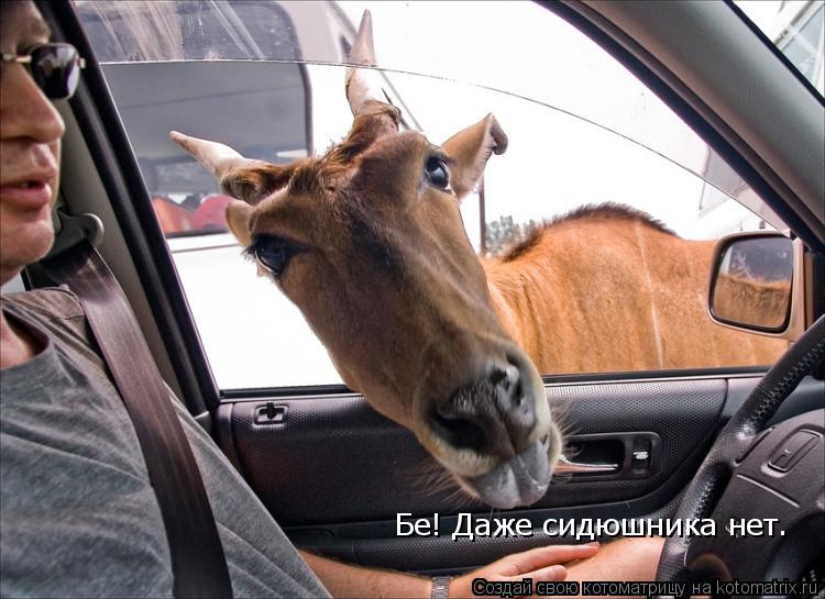 Бе! Даже сидюшника нет.... Котоматрица: Бе! Даже сидюшника нет.