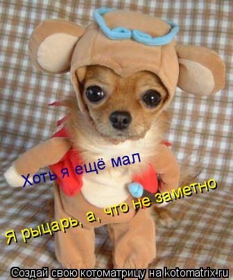 Я рыцарь, а, что не заметно Хоть я ещё мал... Котоматрица: Я рыцарь, а, что не заметно Хоть я ещё мал