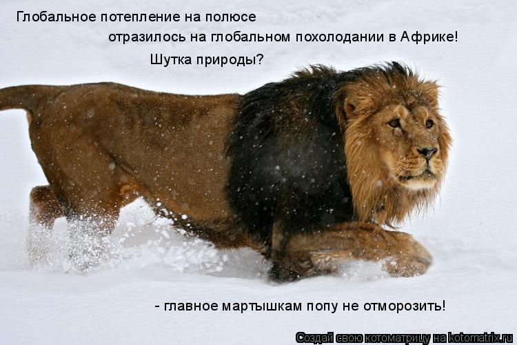 Глобальное потепление на полюсе отразилось на глобальном похолодании в Африке! Шутка природы? - главн... Котоматрица: Глобальное потепление на полюсе отразилось на глобальном похолодании в Африке! Шутка природы? - главное мартышкам попу не отморозить!
