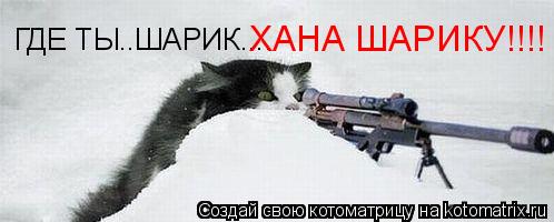 ХАНА ШАРИКУ!!!!... Котоматрица: ХАНА ШАРИКУ!!!!