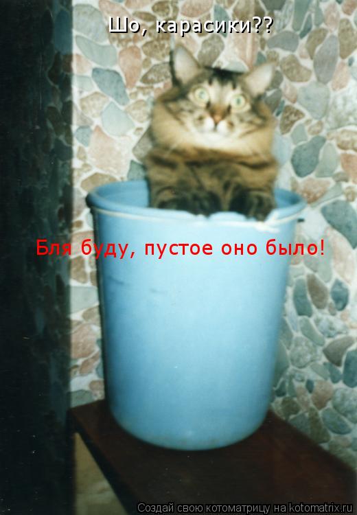 Шо, карасики?? Бля буду, пустое оно было!... Котоматрица: Шо, карасики?? Бля буду, пустое оно было!