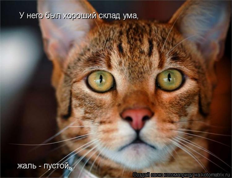 У него был хороший склад ума, жаль - пустой...... Котоматрица: У него был хороший склад ума, жаль - пустой...