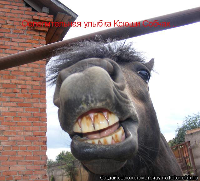 Ослепительная улыбка Ксюши Собчак...... Котоматрица: Ослепительная улыбка Ксюши Собчак...