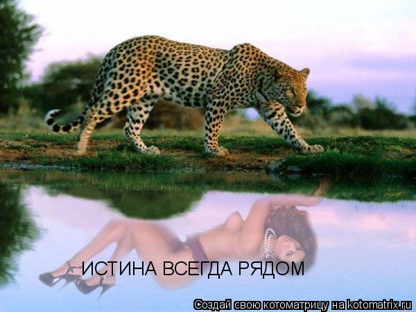 ИСТИНА ВСЕГДА РЯДОМ... Котоматрица: ИСТИНА ВСЕГДА РЯДОМ