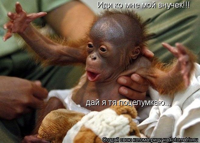 Иди ко мне мой внучек!!! дай я тя поцелумкаю...... Котоматрица: Иди ко мне мой внучек!!! дай я тя поцелумкаю...