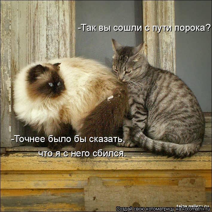-Так вы сошли с пути порока? -Точнее было бы сказать, что я с него сбился.... Котоматрица: -Так вы сошли с пути порока? -Точнее было бы сказать, что я с него сбился.