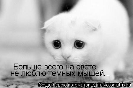Больше всего на свете не люблю тёмных мышей...... Котоматрица: Больше всего на свете не люблю тёмных мышей...