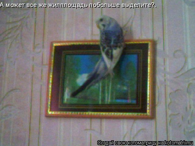 А может все же жилплощадь побольше выделите?.... Котоматрица: А может все же жилплощадь побольше выделите?.