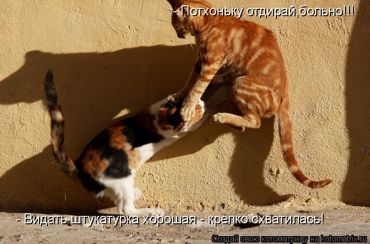- Потхоньку отдирай,больно!!! - Видать штукатурка хорошая - крепко схватилась!... Котоматрица: - Потхоньку отдирай,больно!!! - Видать штукатурка хорошая - крепко схватилась!