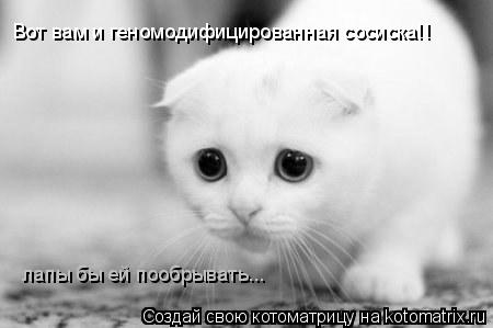 Вот вам и геномодифицированная сосиска!! лапы бы ей пообрывать...... Котоматрица: Вот вам и геномодифицированная сосиска!! лапы бы ей пообрывать...